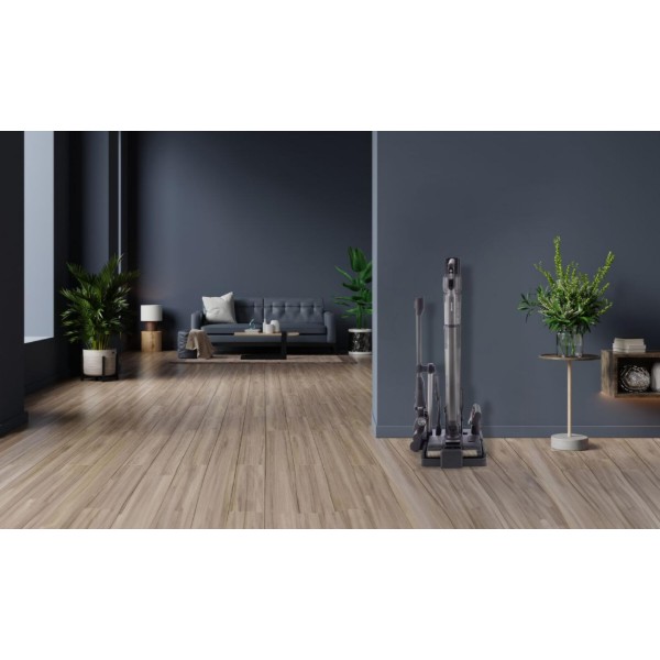 Фото - Пилосос ручний миючий Hisense HFC743169BKA